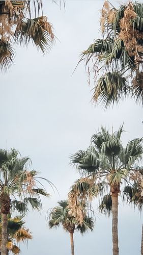 Customer photo review of DEEP TONES LIGHTROOM PRESETS