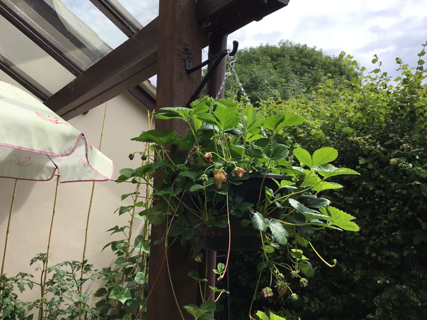 Customer photo review of Cast Iron Hanging Hook Bracket · Kirkpatrick 7 & 10 Inch ·