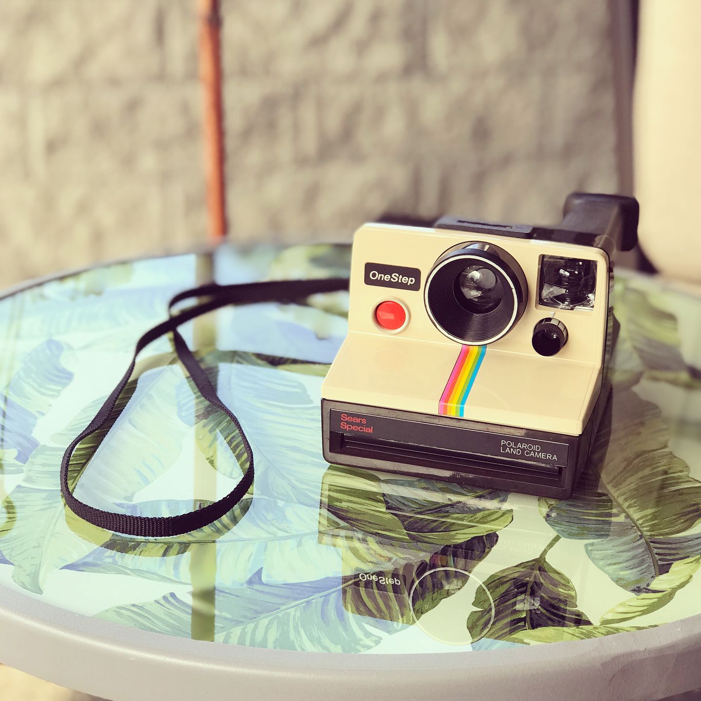 Customer photo review of Polaroid SX-70 Plastic Camera Repair