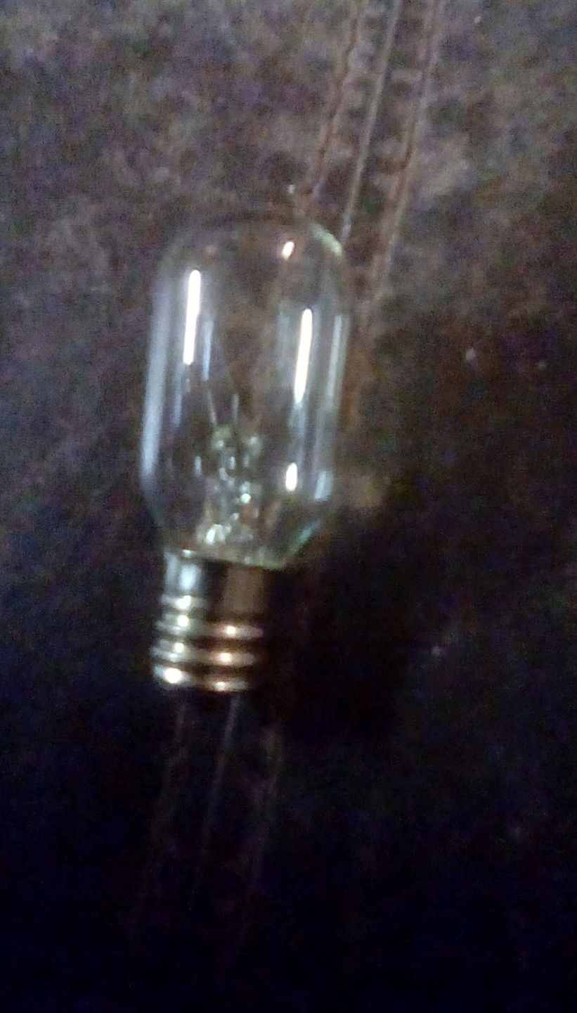 Customer photo review of Replacement Bulb for Himalayan Salt Lamps (15 Watt)