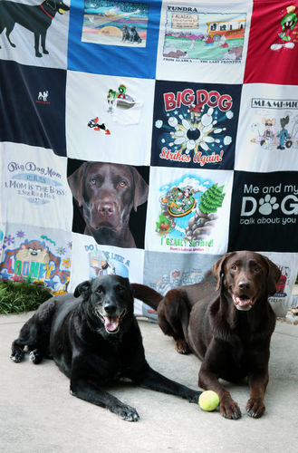 T-shirt quilt with dogs, pets themes by MARLA from CA