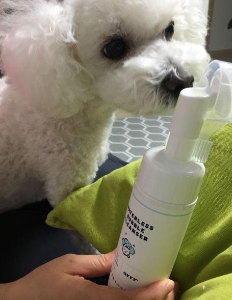 Customer photo review of arrr Waterless Bubble Cleanser