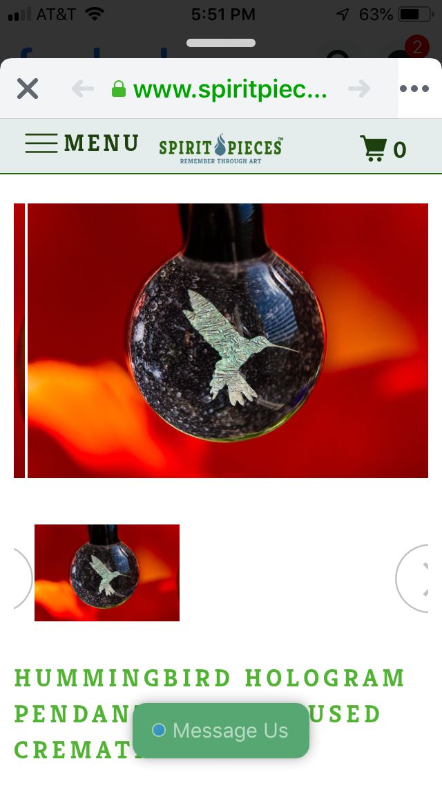 Customer photo review of Hummingbird Hologram Pendant with Infused Cremation Ash