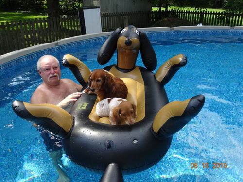 dachshund inflatable pool float