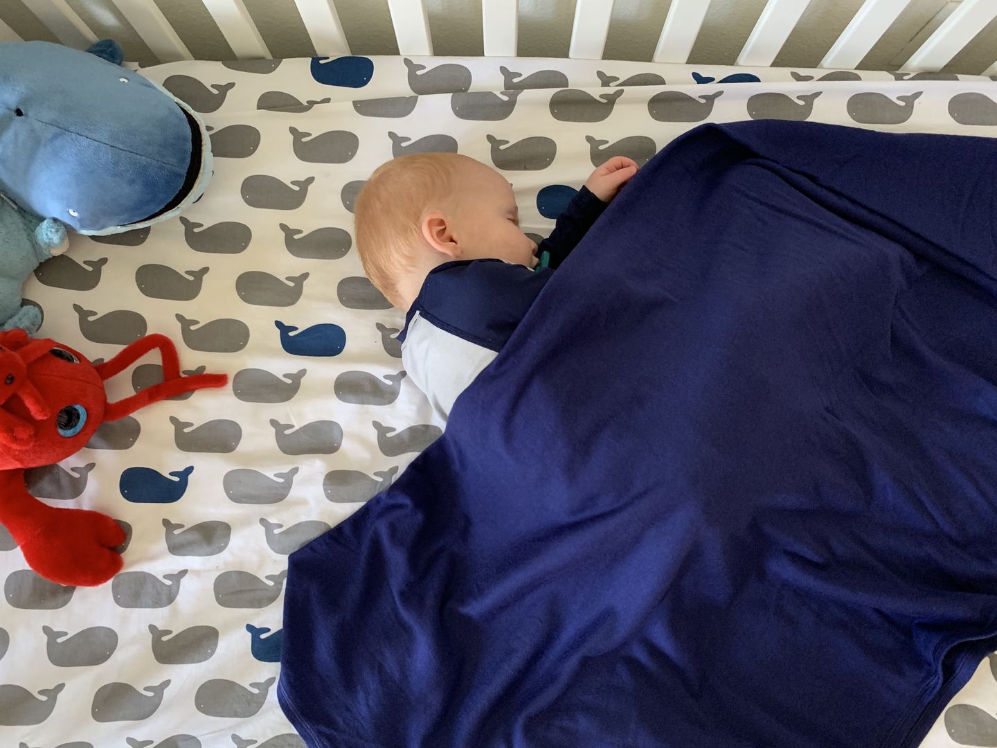 Customer photo review of adventure blanket