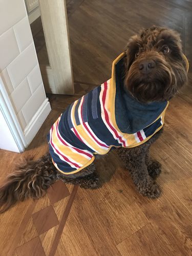 ruff and tumble dog coats reviews