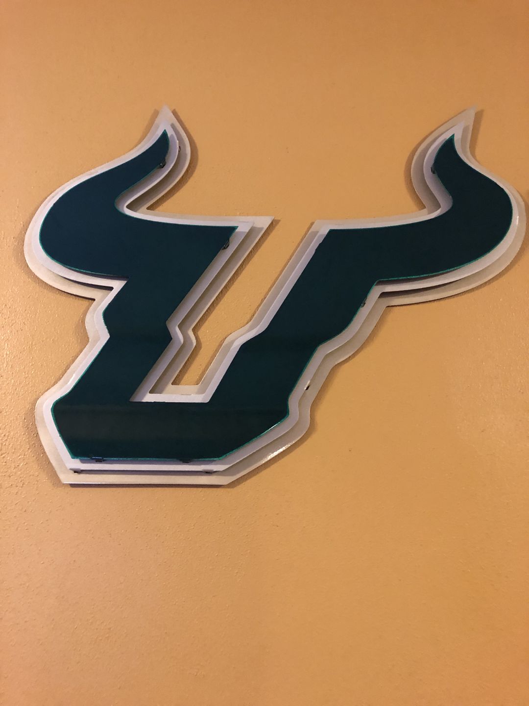 Customer photo review of University of South Florida Bull 3D Metal Artwork