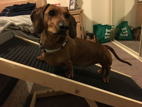 the dachramp
