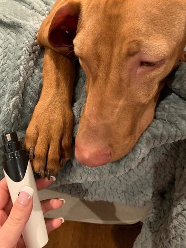 Nicole G. review of PawCare™ Premium Rechargeable Pet's Nail Grinder V.2