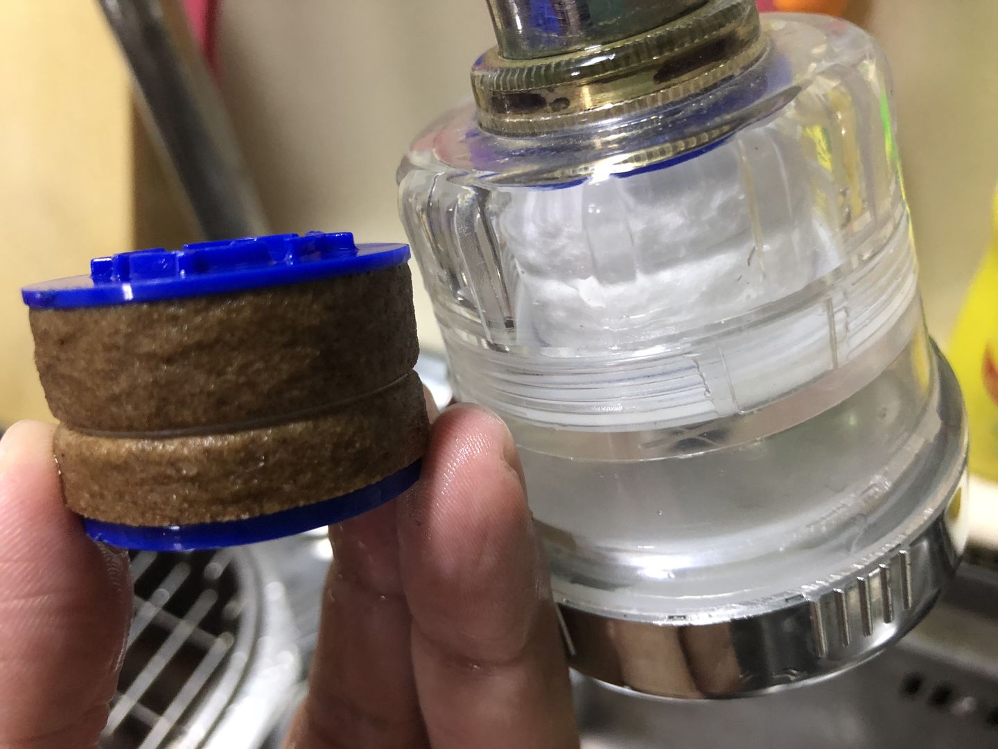 Customer photo review of Bodyluv Puresome Filter