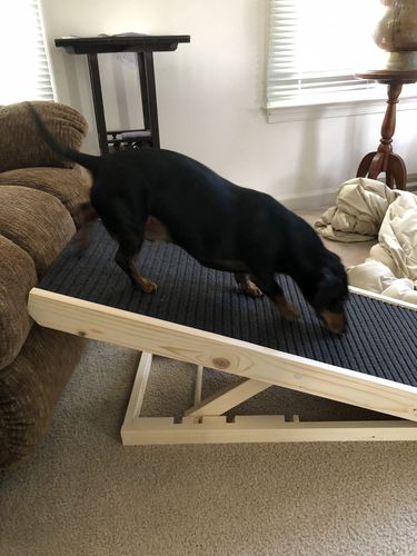 dachramp