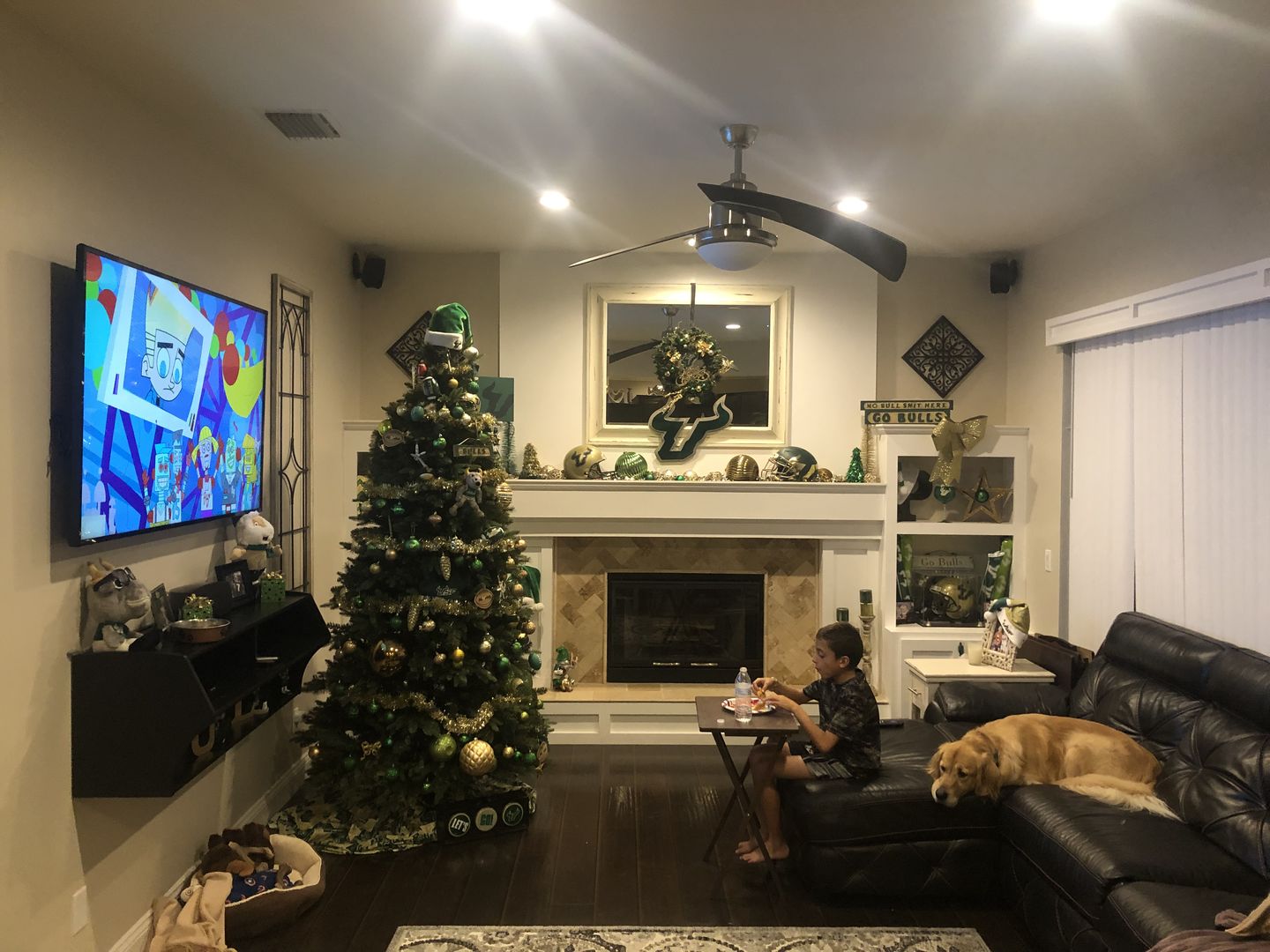 Customer photo review of University of South Florida USF 3D Metal Artwork