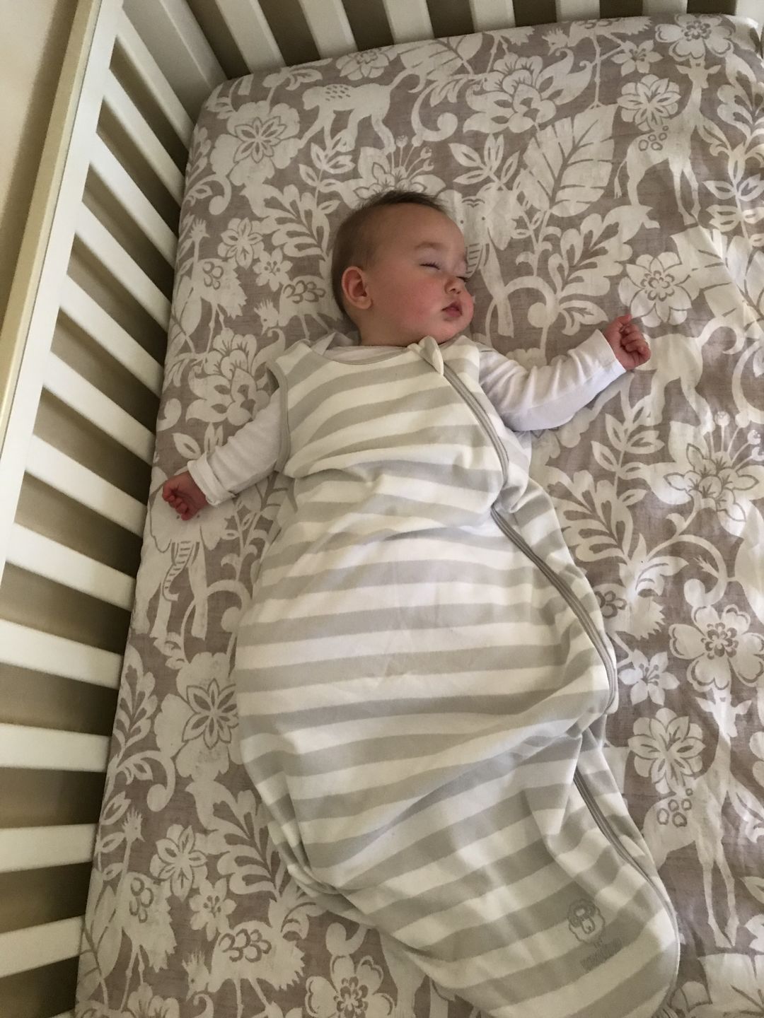 Customer photo review of Ecolino® Organic Cotton Classic Baby Sleep Bag or Sack, Gray