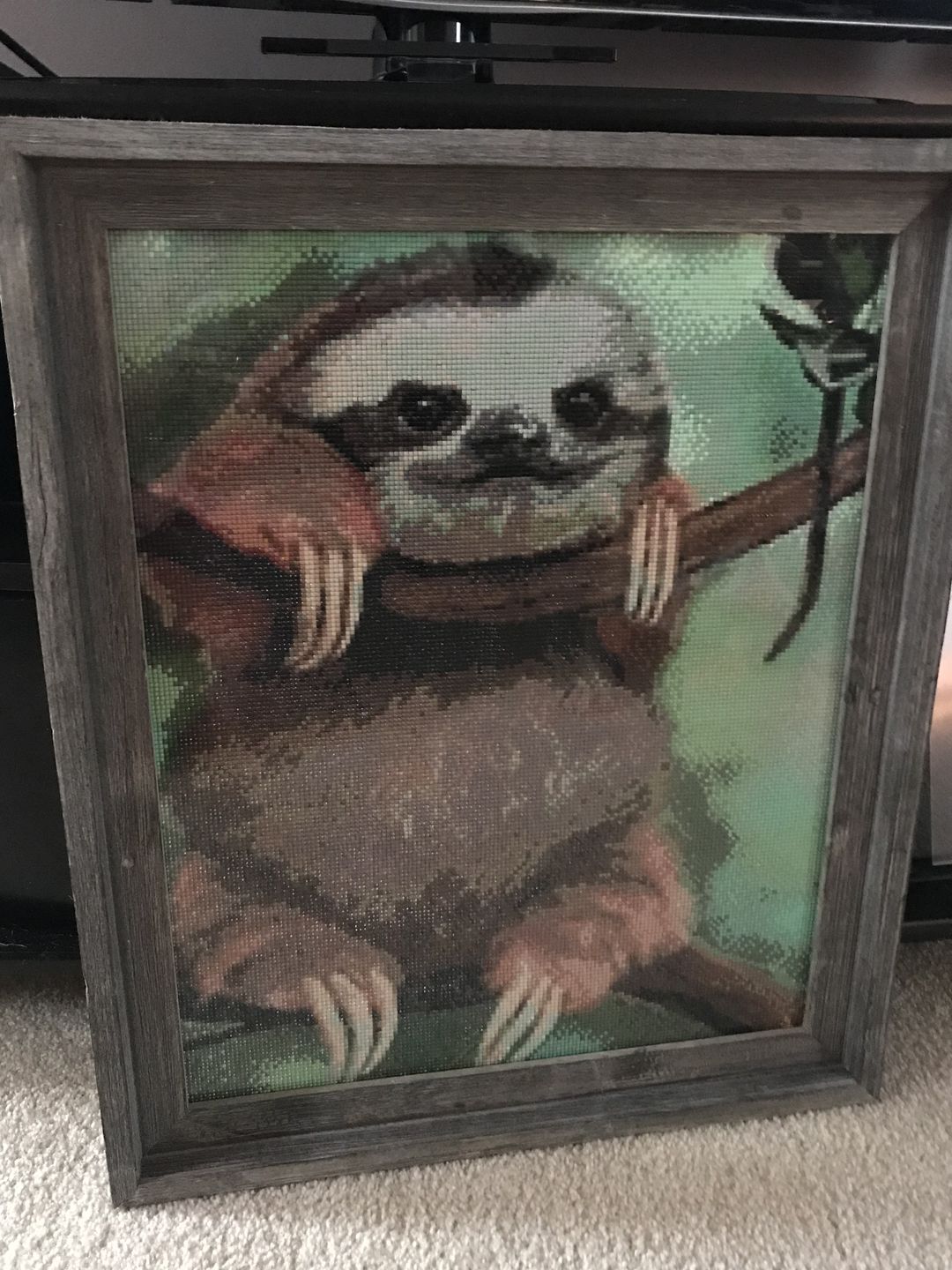 Customer photo review of Baby Sloth - Diamond Painting Kit