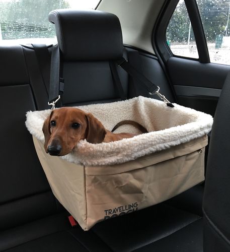 Sausage Dog Central Europe Reviews Sausage Dog Central Europe Reviews