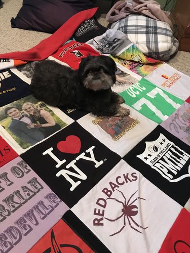 T-shirt quilt from florida state university, university of central florida by Mel from MD