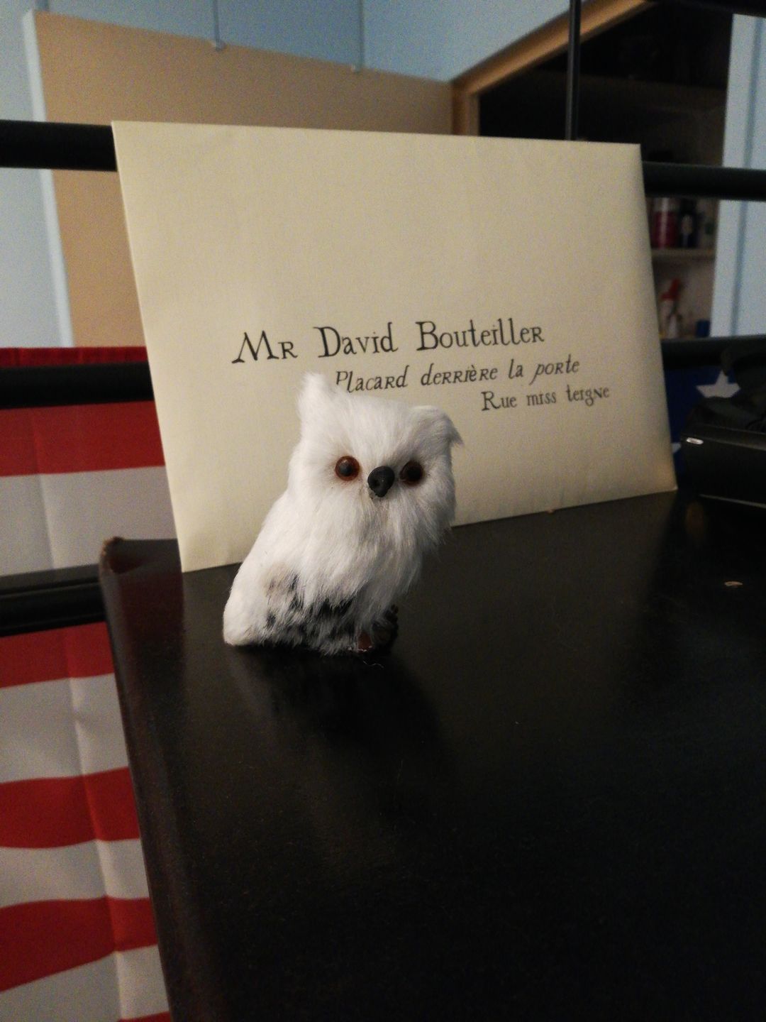 Customer photo review of Harry Potter Hedwig Owl