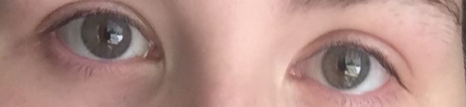 Customer photo review of Siesta Crystal Iris Gray