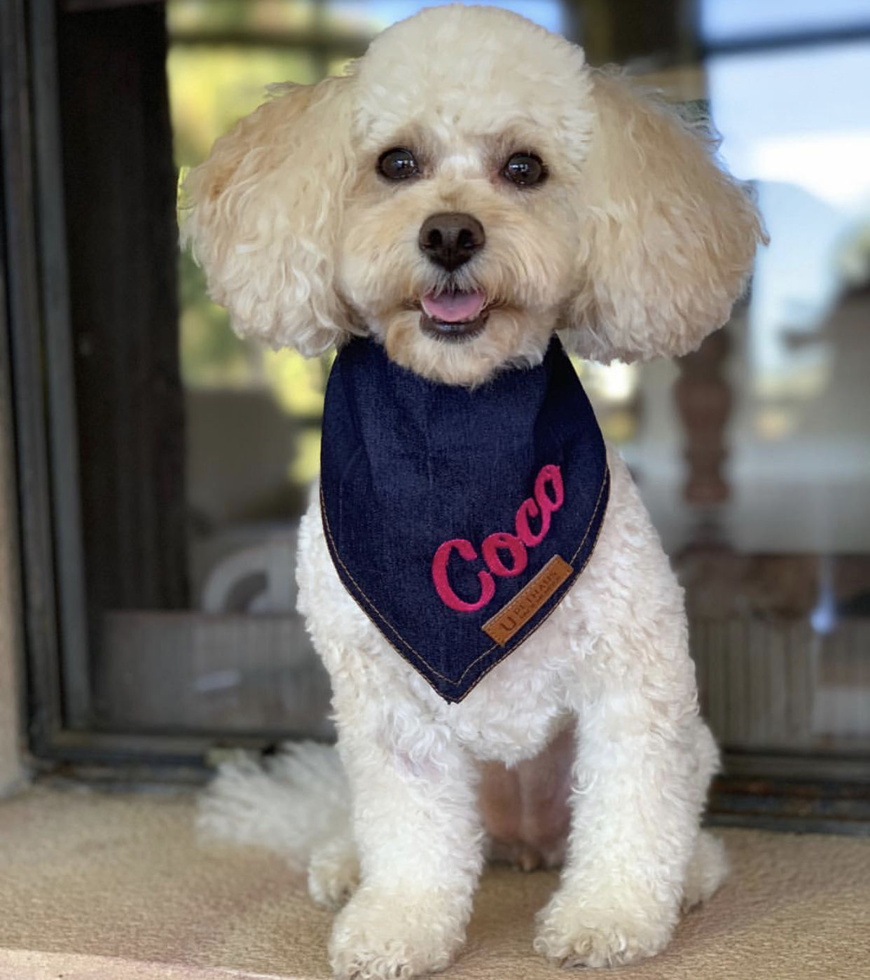 Customer photo review of Custom Text Denim Dog Bandana
