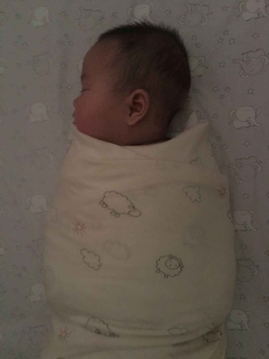 Customer photo review of Swaddle Blanket, Merino Wool, Newborn to 3 Months, Sheep