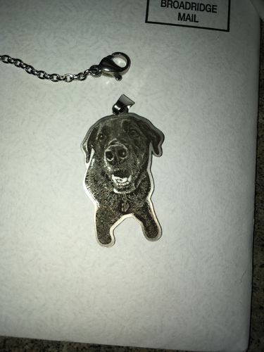 Customer photo review of Silvercut™ Necklace
