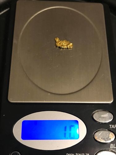 Customer photo review of '$150 NUGGET RUSH' Gold Paydirt - *1 in 3 Bags Contains a Nugget Valued $150* - Jackpot Paydirt
