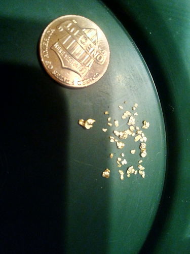 Customer photo review of 5 Lb. NUGGET RESERVE™ Gold Paydirt Unsearched BOGO
