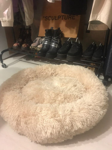 Customer photo review of HYGGENS Rundes Plüsch-Kuschelbett für Hunde und Katzen