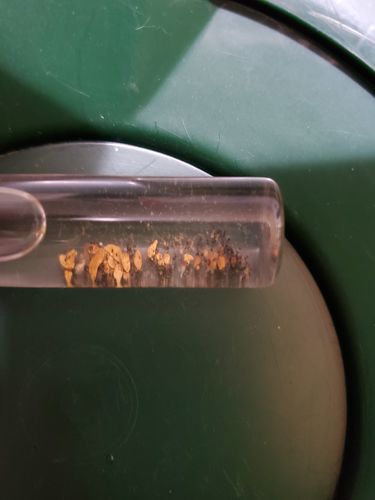 Customer photo review of 2 Lb. JACKPOT PAYDIRT™ Gold Paydirt Unsearched