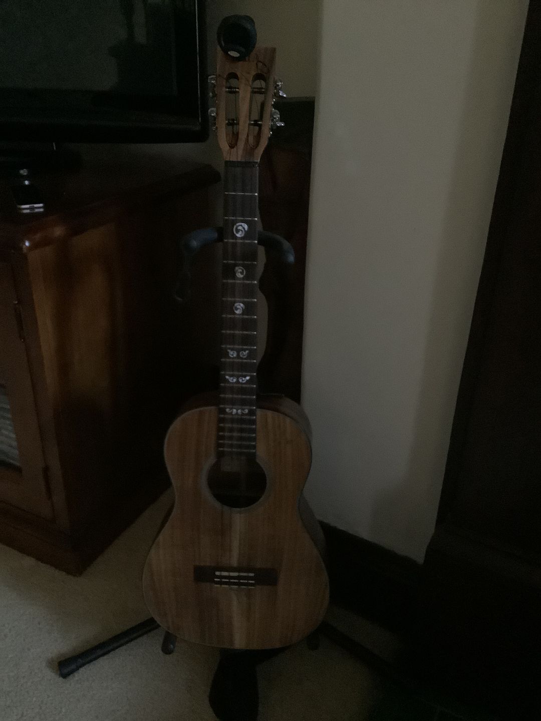 Customer photo review of BB Worth Brown Baritone Ukulele Strings DGBE Tuning Fluorocarbon 2 Restrings per Packet