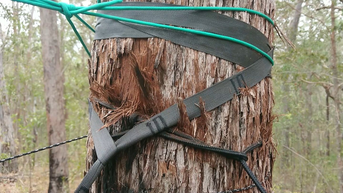 Customer photo review of Ultralight Hammock Straps