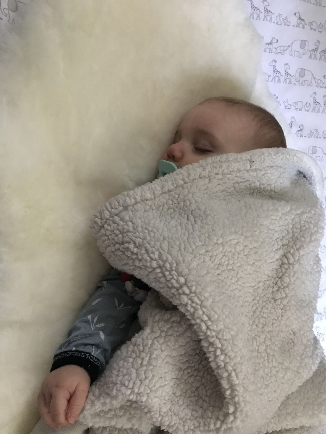 Customer photo review of Sheepskin Rug for Babies, 100% Natural, Shorn Lambskin Wool, 2 x 3 Feet, Ivory