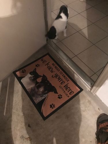 Customer photo review of Custom Dog Doormat