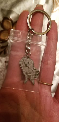 Customer photo review of Silvercut™ Keychain
