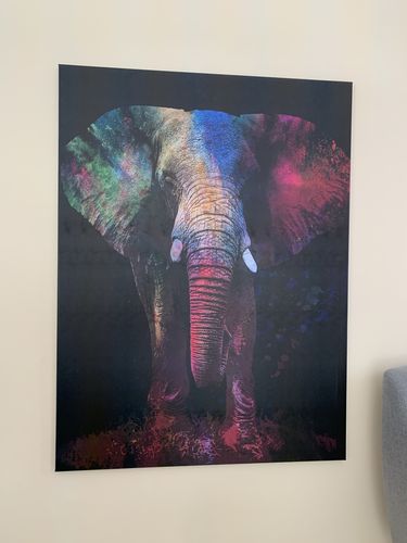 Customer photo review of Tableau Éléphant Splash