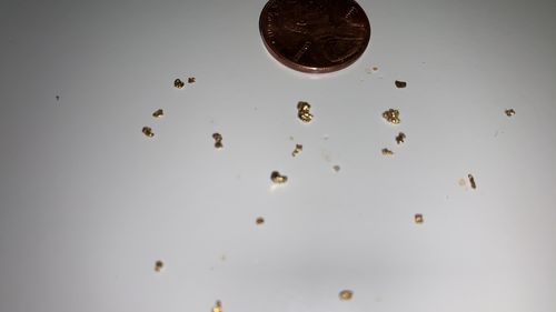 Customer photo review of *New* 2020 NUGGET RESERVE 'CLUNKER' Gold Paydirt Panning Unsearched