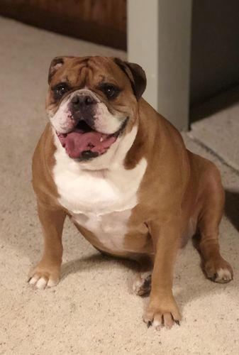 Customer photo review of Aunt Lyns Promotional Item