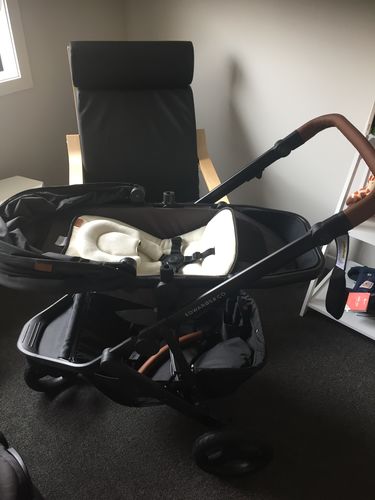 Customer photo review of Oscar Mx