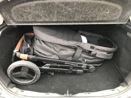 Customer photo review of Oscar Mx