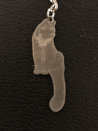 Customer photo review of Silvercut™ Keychain