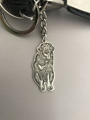 Customer photo review of Silvercut™ Keychain