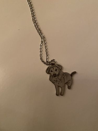 Customer photo review of Silvercut™ Necklace