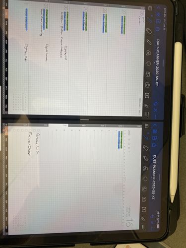 Customer photo review of Duet planner 2020