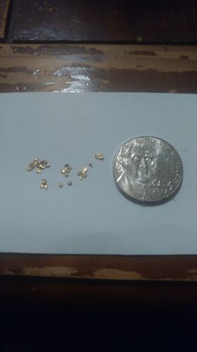 Customer photo review of Goldn Paydirt 'EUREKA' Panning Pay Dirt Bag Gold Paydirt Panning Unsearched