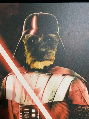 Customer photo review of 'Darth Woofer' Personalized Pet Canvas