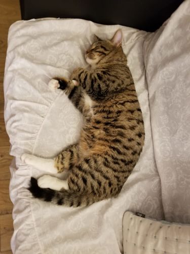 Customer photo review of Collect & Compost Service