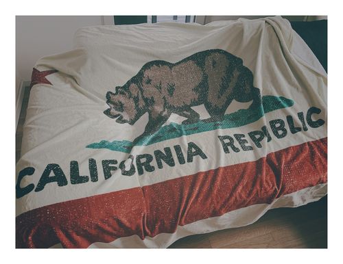 Customer photo review of California Republic Ivory Blanket
