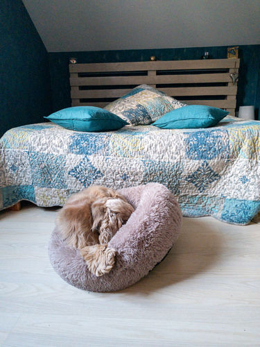Customer photo review of Lit Apaisant Comfy® |  Pour Chien et Chat