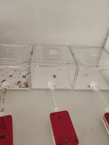 Customer photo review of AntKit Essentials Set