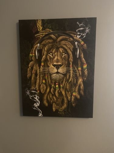 Customer photo review of The Rasta Canvas Set